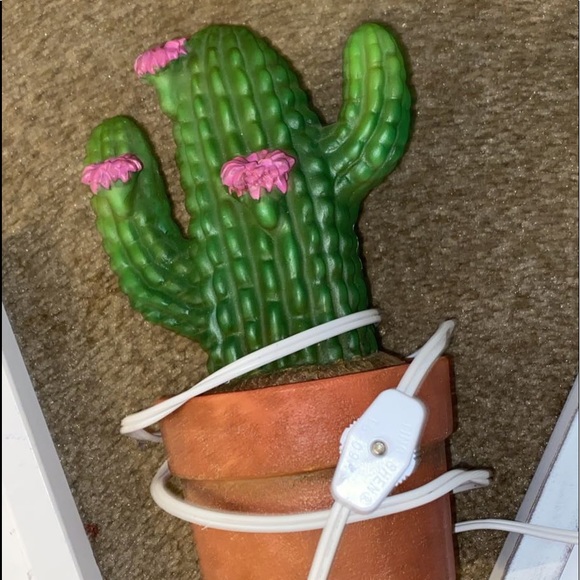 Cactus home decor - Picture 2 of 2